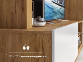 Гостиная Флекс в Кыштыме - kyshtym.mebel74.com | фото 4