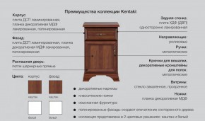 Гостиная Кентаки каштан в Кыштыме - kyshtym.mebel74.com | фото 2