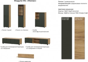 Гостиная Милан Дуб Золотой/Олива Софт в Кыштыме - kyshtym.mebel74.com | фото 2