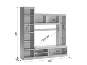 Мини-стенка Макси дуб сонома/белое дерево в Кыштыме - kyshtym.mebel74.com | фото 4