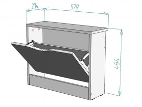 Обувница W100 в Кыштыме - kyshtym.mebel74.com | фото 3