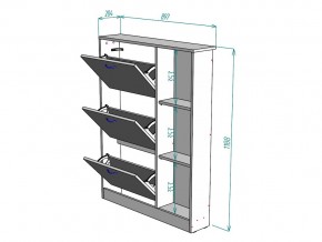 Обувница W107 в Кыштыме - kyshtym.mebel74.com | фото 3