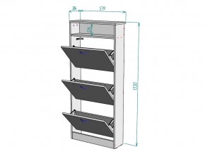 Обувница W116 в Кыштыме - kyshtym.mebel74.com | фото 3