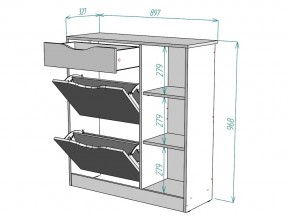 Обувница W34 в Кыштыме - kyshtym.mebel74.com | фото 3