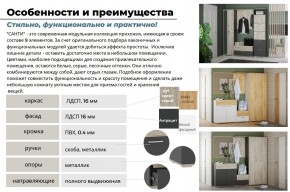 Прихожая Санти Белый/Дуб Крафт Золотой в Кыштыме - kyshtym.mebel74.com | фото 3