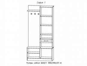 Прихожая София 1 в Кыштыме - kyshtym.mebel74.com | фото 2