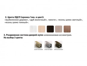 Шкаф-купе Акцент-Сим Д 1200-600 шимо светлый в Кыштыме - kyshtym.mebel74.com | фото 3