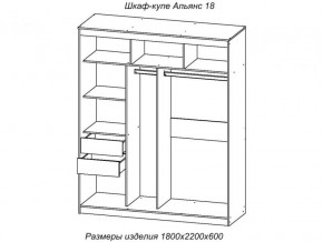 Шкаф-купе Альянс 18 комплект зеркал №4 в Кыштыме - kyshtym.mebel74.com | фото 2