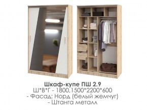 шкаф-купе ПШ-2.9 1500 Норд Белый жемчуг 1500 в Кыштыме - kyshtym.mebel74.com | фото