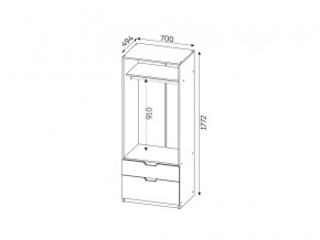 Шкаф с 2-мя ящиками ЛДСП Фаворит в Кыштыме - kyshtym.mebel74.com | фото 2