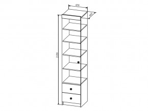 Шкаф Сканди ШД450.1 в Кыштыме - kyshtym.mebel74.com | фото 2