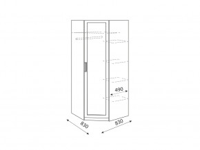 Шкаф угловой Дуглас модуль 1 в Кыштыме - kyshtym.mebel74.com | фото 2