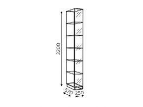 Стеллаж Моника мод.13 в Кыштыме - kyshtym.mebel74.com | фото 2